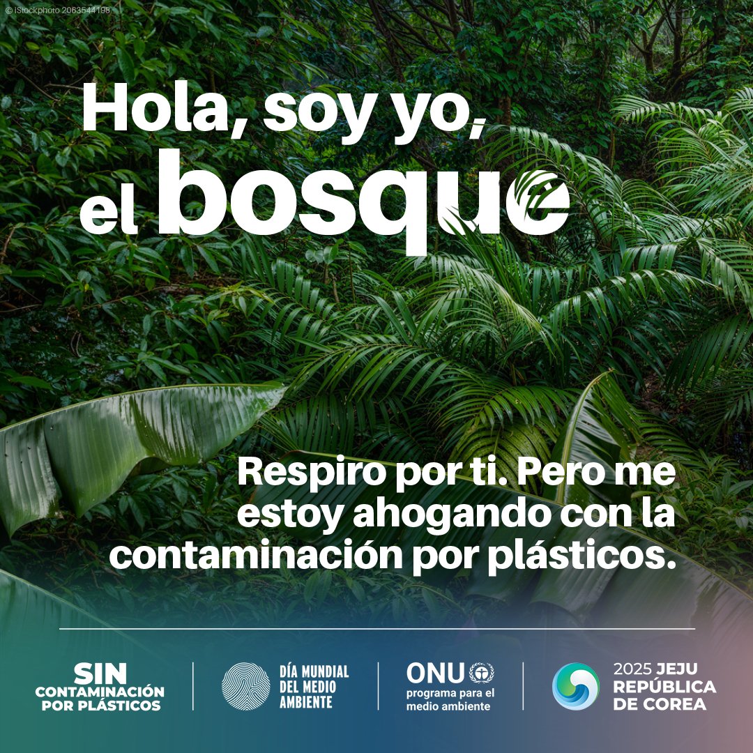 Tendremos claro el efecto de  nuestros hábitos de producción y consumo y sus efectos sobre el ambiente y los recursos naturales? Tema de preocupación, la producción y utilización de plásticos, informarnos para decidir, muchos retos. Día mundial medio ambiente.