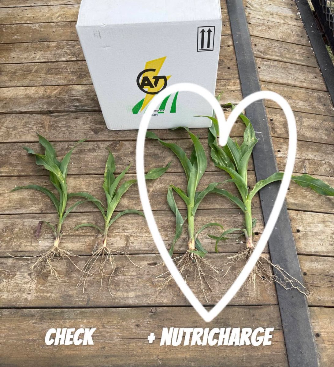 DirectEntInc's tweet image. Miss in-furrow or want another shot of some extra power? Call your rep or dealer today and find about how to take advantage of #NutriCharge technology on your farm!
#theDEIdifference #agronomy #soybeans #corn #wheat #cropresidue #farming #seedtreatment #infurrow #sidedress