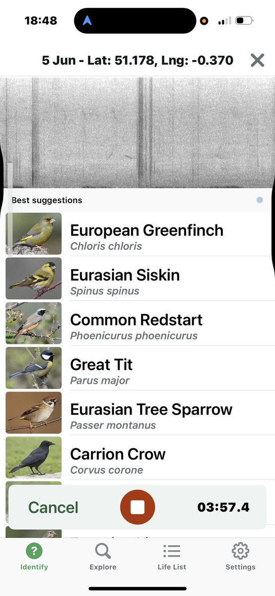 A couple of hours on Leith Hill tonight after the rain.

Best pair of Redstart feeding young at nest.

2 family groups of  Marsh Tit,family party of Siskin and 2 Spot Fly territories.
Lots of Willow W singing.

Merlin picked up Juv Chaffinch calls as Tree Sparrow and Redstart.