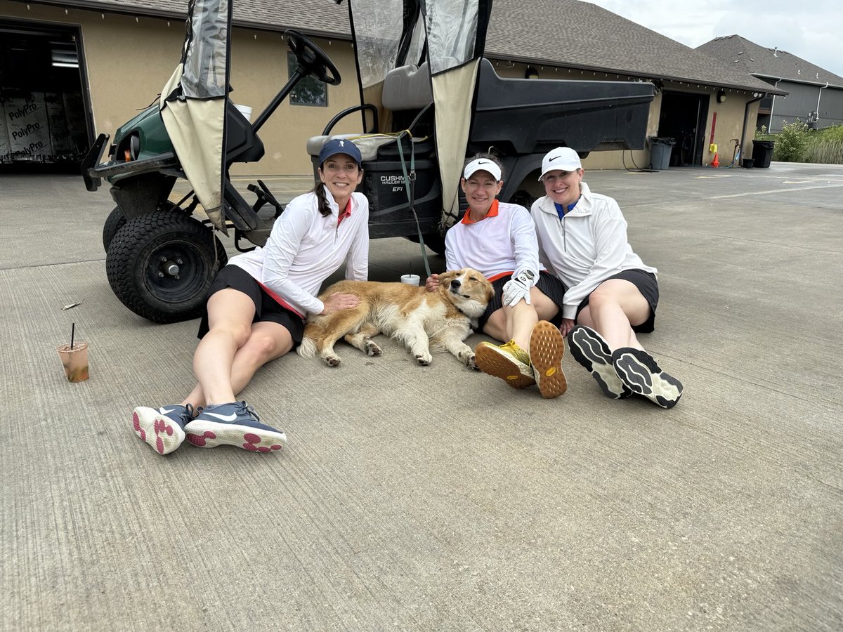 Furry golf!  #hendersongolf