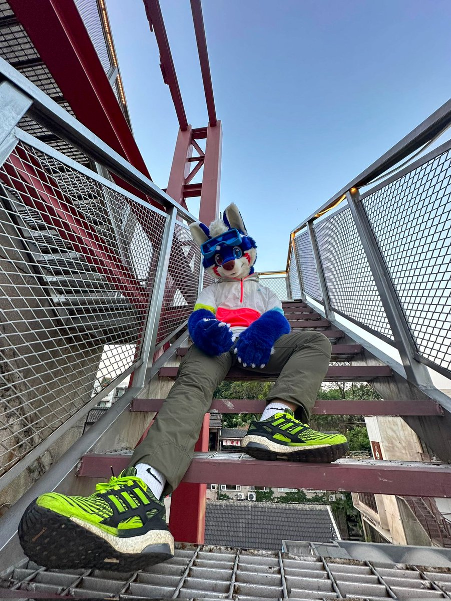 佫乐 HLE & Reggie 🔜 hifurry tweet media