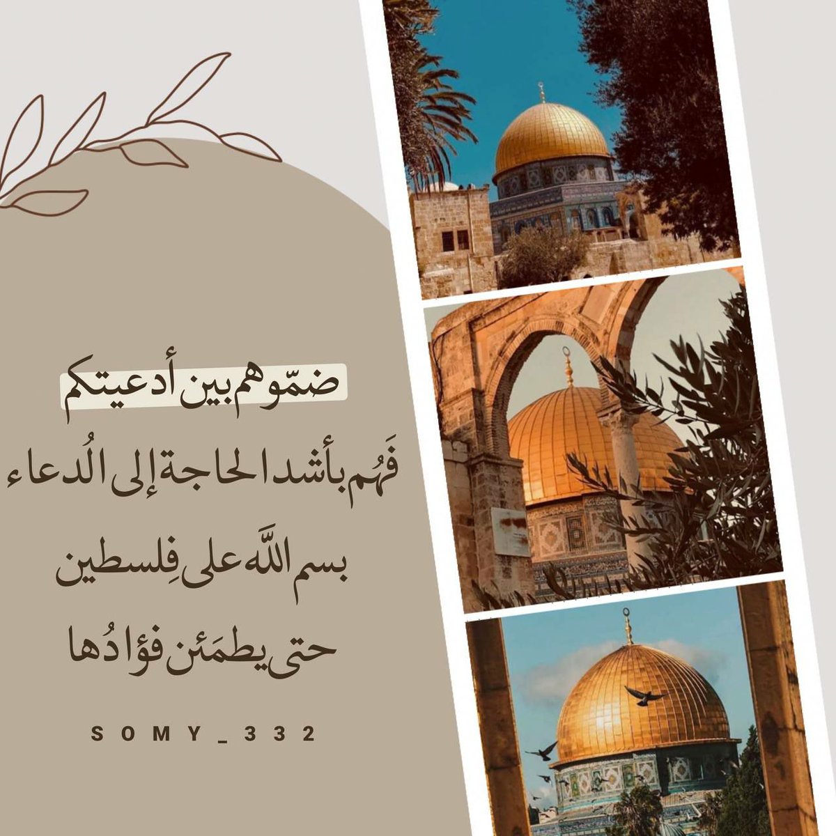 لهــيب المــشـا؏ر❤️🔥 (@9rrgr) on Twitter photo #دعم_لهيب_لمشاعر
<a href="/nor3rh/">💎Nor elrhman💎</a>
<a href="/mirl00/">Miral</a>
<a href="/8rrgr/">جنونــ المــشـا؏ر❤️🔥</a>
<a href="/7rrgr/">حروفٌ لها صوت</a>
<a href="/_iriiy/">Lama</a>
<a href="/2J9Jl/">شجن 'ے</a>
<a href="/IK151/">𝕊ʜᴇʀᴅɪʟ 🇵🇰 IK</a>
<a href="/kn_jui/">Bakht Zada🇵🇰f💯</a>
<a href="/1qqmr/">𝓦𝓐𝓐𝓓</a>
<a href="/_HZTT/">عيون المها 🇮🇶</a>
<a href="/nf957i/">نوفہٰ🦋</a>
<a href="/A_E_98/">❤️🌼ايـــ 𝓔𝓢𝓞𝓞𝓞 ســـو🌼❤️</a>
<a href="/an_oc9/">نجود علي</a>
<a href="/_R_1yyy/">آلُسلُطُآنْہ👑</a>
<a href="/Al_Yafei1/">𓆲⚘𝑨𝒍-𝒀𝒂𝒇𝒆𝒊•🆇•ύʟ̤ɾɹɹɹב⚘𓆲</a>
<a href="/Iqb9786/">ℨ𝔢𝔢𝔰𝔥𝔞𝔫 𝔦𝔮𝔟𝔞𝔩 𝔥𝔲𝔰𝔰𝔞𝔦𝔫</a>
<a href="/mrm2181/">مرام</a>
<a href="/AlbThabt/">R.T</a>
<a href="/Sana_IIK/">KhanZaadi 🦋</a>
<a href="/lion3657_/">د.عبدالله الشريف 💛💙</a>
<a href="/joumanalm/">Jouman Al moustafa</a>
<a href="/s73313912_/">الساقي</a>
<a href="/HaajarYafaa/">هاجر اليافعي</a>
<a href="/KrymanAbw/">ابو دعدع باكرمان الجنوبي</a>
<a href="/s3eed_alharbi/">سعيد الحربي</a>
<a href="/Afridi15594518/">KHAN 🩺 AFRIDI</a>
<a href="/alnakash1fadel/">( alnakash fadel )</a> #دعم_لهيب_لمشاعر
<a href="/nor3rh/">💎Nor elrhman💎</a>
<a href="/mirl00/">Miral</a>
<a href="/8rrgr/">جنونــ المــشـا؏ر❤️🔥</a>
<a href="/7rrgr/">حروفٌ لها صوت</a>
<a href="/_iriiy/">Lama</a>
<a href="/2J9Jl/">شجن 'ے</a>
<a href="/IK151/">𝕊ʜᴇʀᴅɪʟ 🇵🇰 IK</a>
<a href="/kn_jui/">Bakht Zada🇵🇰f💯</a>
<a href="/1qqmr/">𝓦𝓐𝓐𝓓</a>
<a href="/_HZTT/">عيون المها 🇮🇶</a>
<a href="/nf957i/">نوفہٰ🦋</a>
<a href="/A_E_98/">❤️🌼ايـــ 𝓔𝓢𝓞𝓞𝓞 ســـو🌼❤️</a>
<a href="/an_oc9/">نجود علي</a>
<a href="/_R_1yyy/">آلُسلُطُآنْہ👑</a>
<a href="/Al_Yafei1/">𓆲⚘𝑨𝒍-𝒀𝒂𝒇𝒆𝒊•🆇•ύʟ̤ɾɹɹɹב⚘𓆲</a>
<a href="/Iqb9786/">ℨ𝔢𝔢𝔰𝔥𝔞𝔫 𝔦𝔮𝔟𝔞𝔩 𝔥𝔲𝔰𝔰𝔞𝔦𝔫</a>
<a href="/mrm2181/">مرام</a>
<a href="/AlbThabt/">R.T</a>
<a href="/Sana_IIK/">KhanZaadi 🦋</a>
<a href="/lion3657_/">د.عبدالله الشريف 💛💙</a>
<a href="/joumanalm/">Jouman Al moustafa</a>
<a href="/s73313912_/">الساقي</a>
<a href="/HaajarYafaa/">هاجر اليافعي</a>
<a href="/KrymanAbw/">ابو دعدع باكرمان الجنوبي</a>
<a href="/s3eed_alharbi/">سعيد الحربي</a>
<a href="/Afridi15594518/">KHAN 🩺 AFRIDI</a>
<a href="/alnakash1fadel/">( alnakash fadel )</a>