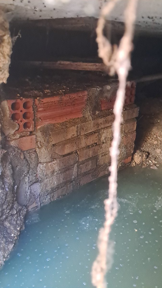 Felipe González 
Felipe GonzaleX 
isidORO 
El Bipartidismo es un cáncer para Españita...
Dónde el Señor X regaba sus bonsais...