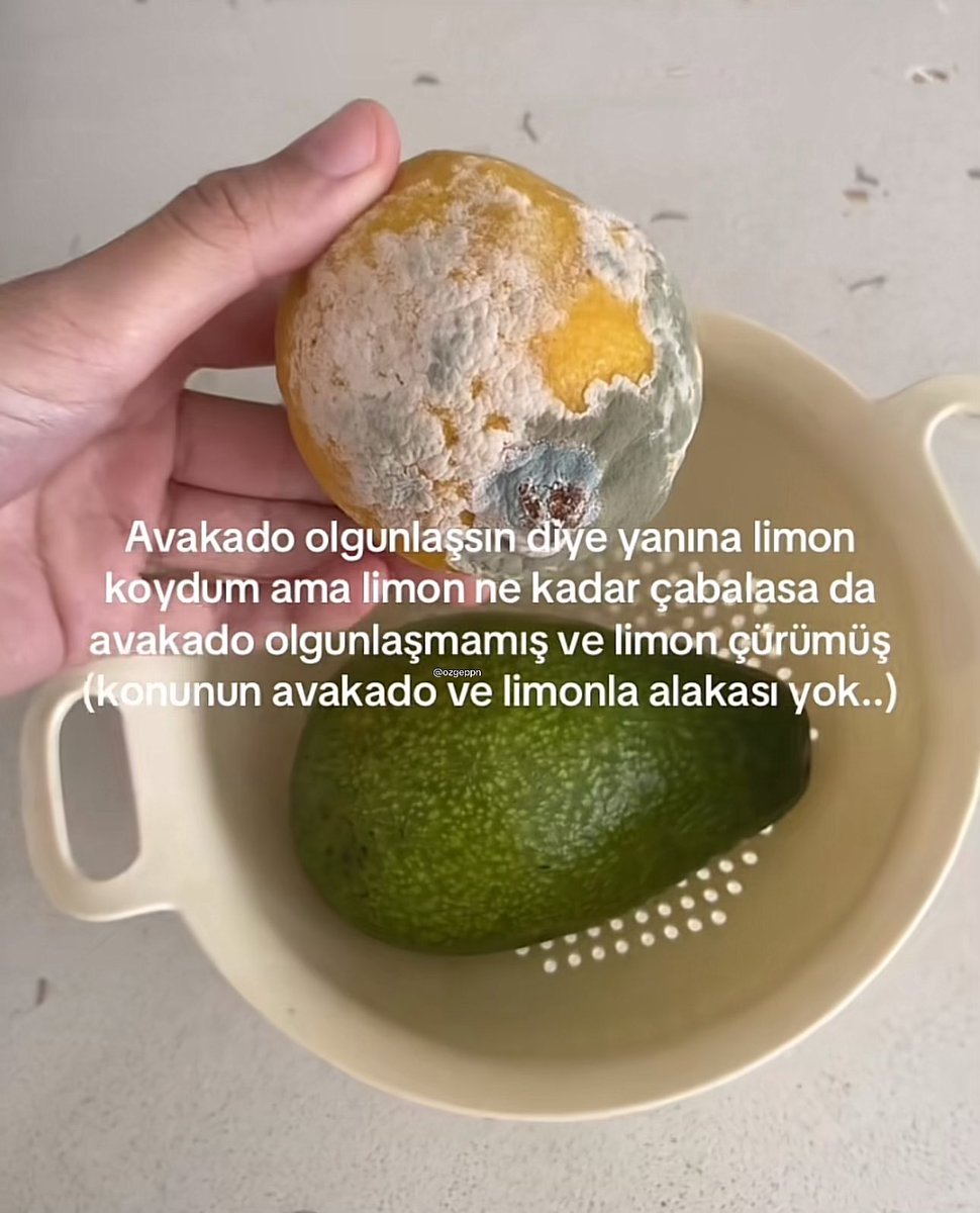 ÖZGE (@ozgeppn) on Twitter photo 