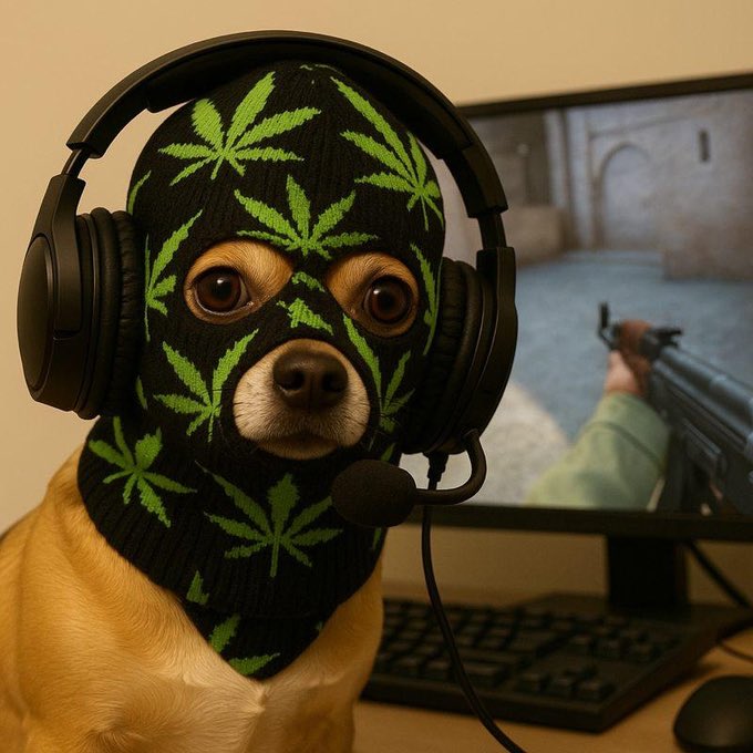 CryptoMentor123's tweet photo. #ad #DYOR  
🚨 Incoming Launch Alert! 🚨
 $DOGWIFSOCK is gearing up to take over the meme world 🐶🧦
This isn’t just another memecoin — it’s pure meme energy wrapped in a sock and strapped to a rocket 🚀
X: https://t.co/FrVvPfuoyr
Telegram: https://t.co/PLqbY7NmMI
#ad #DYOR https://t.co/SXauJvWz4f