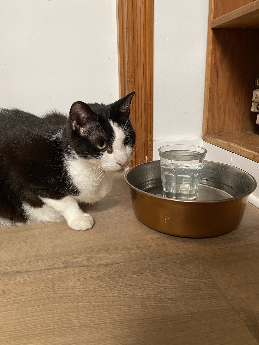 Paula Poundstone tweet media