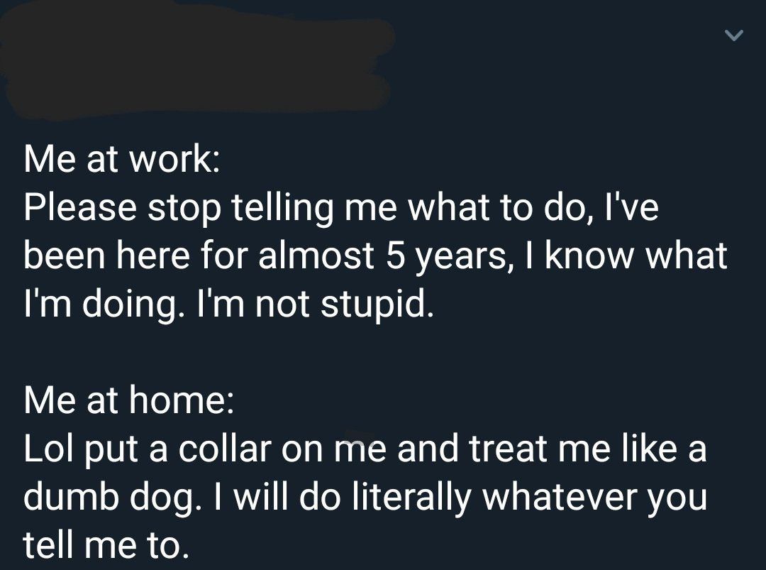 Furry memes (@furrymems) on Twitter photo 