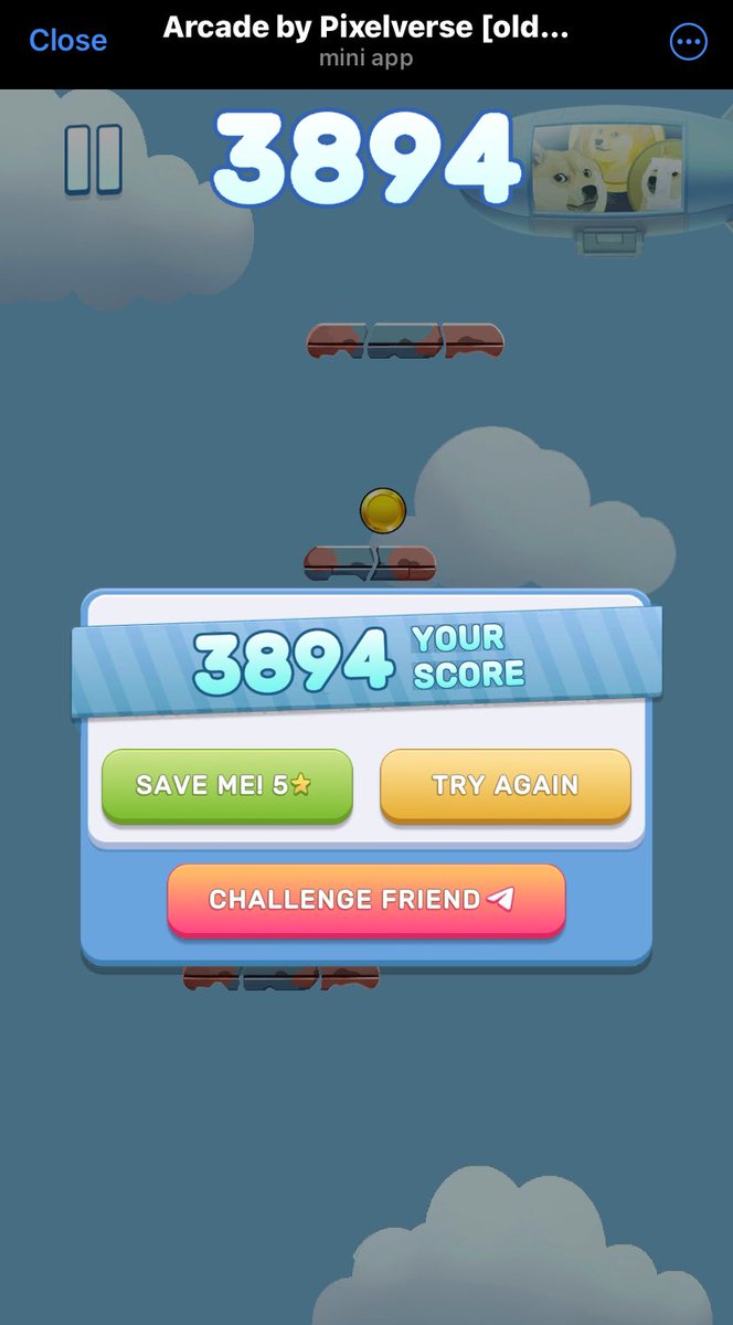 aimblackbird_'s tweet photo. @TurboToadToken gives me Power 🙂‍↔️

Just smashed @DrealJosee’s score with the new ingame character in Pixelverse #MemeJump

I really like the feeling the Turbo skin gives.. its slick 🐸🙂‍↔️

@TurboToadToken is the Best 🫶

#Pixelverse #MemeJump https://t.co/VIwMiD7g4J