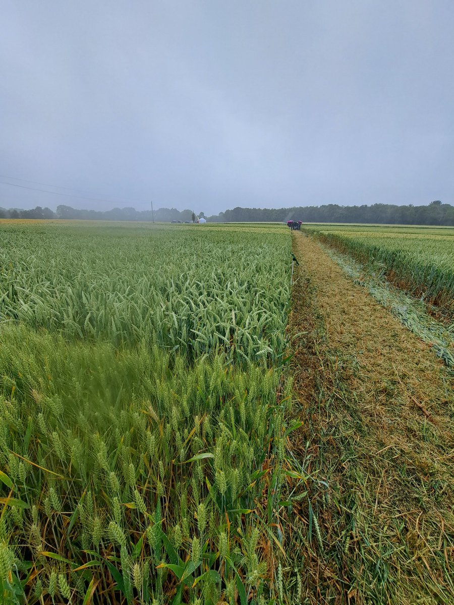 Dominique Luherne tweet media