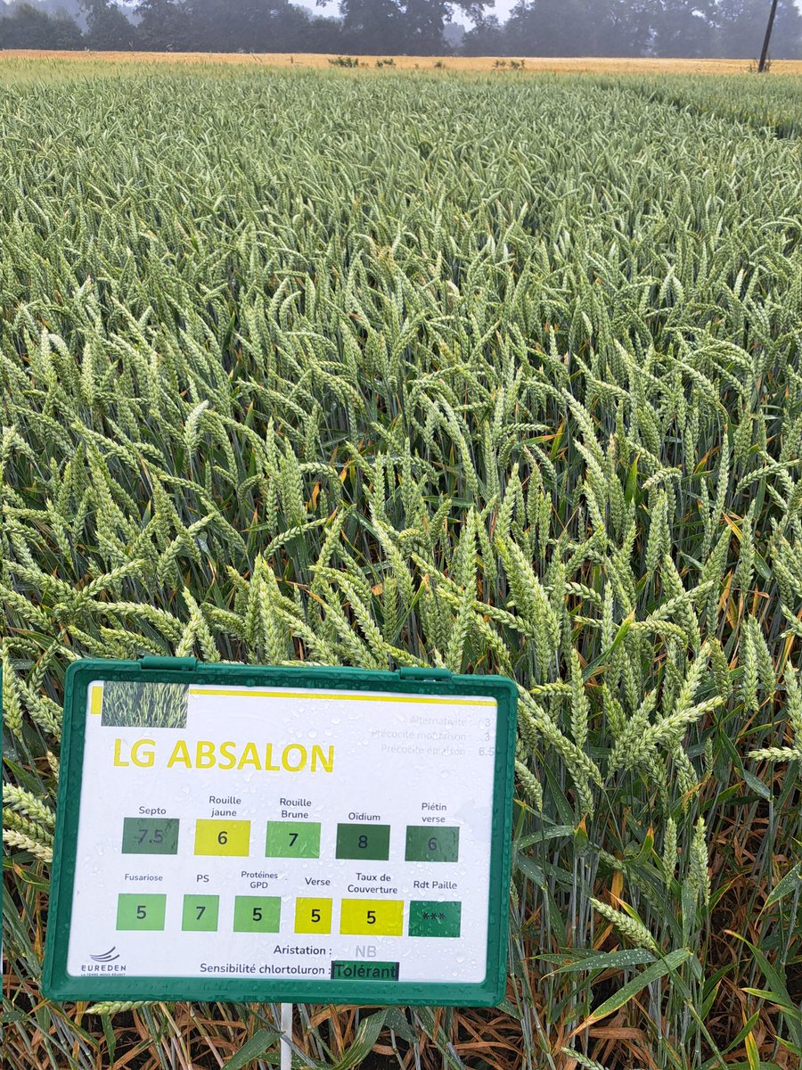 Dominique Luherne tweet media