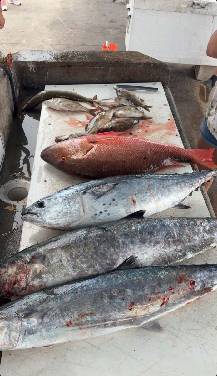 Donovan Robinson tweet media