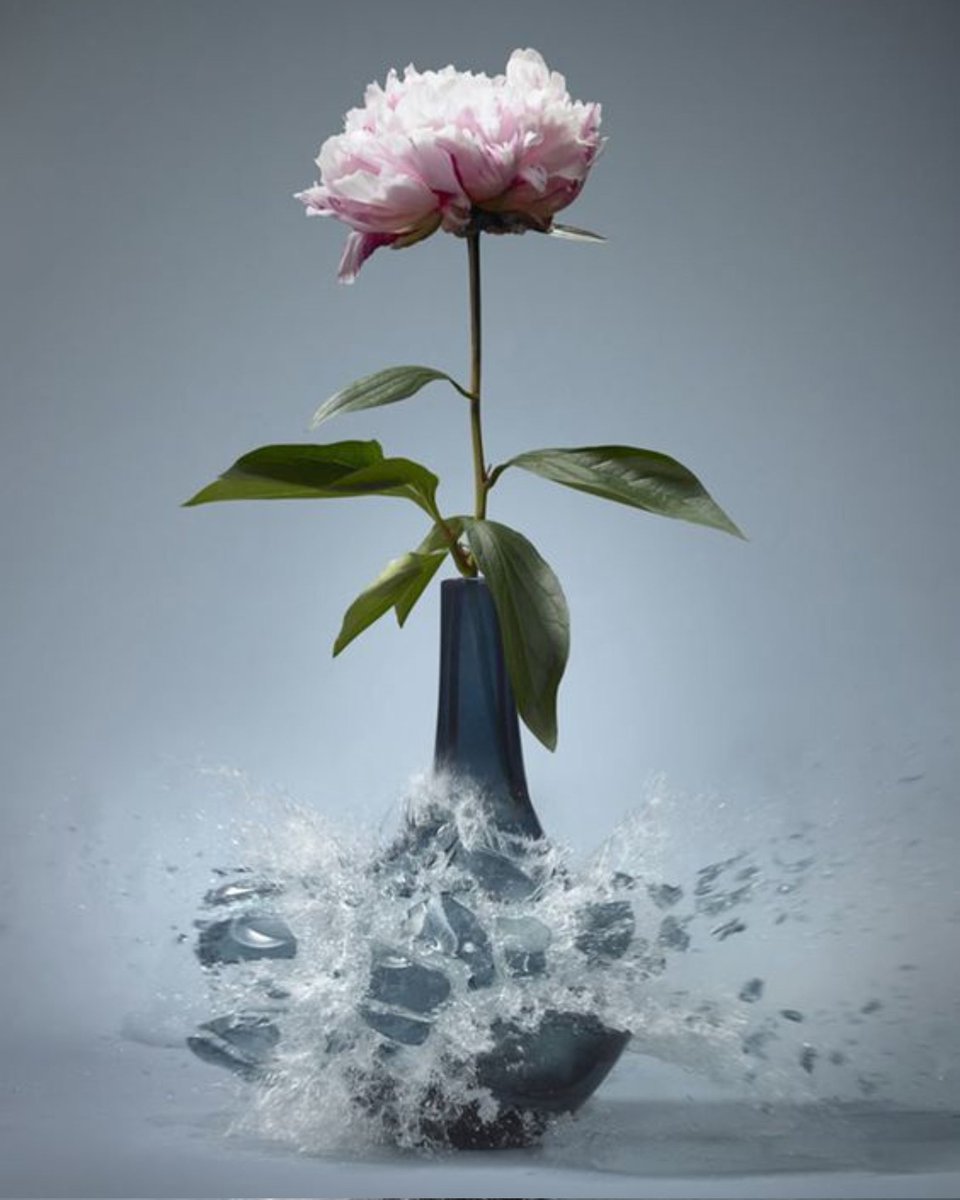 "Adaletin kapısı, korkusuz ellerle açılır.

#KHKlılardanBayramÇağrısı

#BasınÖzgürlüğü #GazetecilikSuçDeğildir