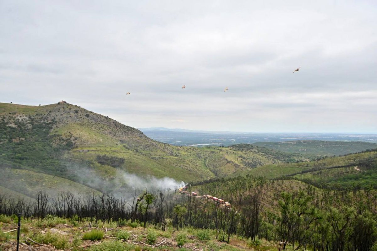 Julien Marion - DGSCGC (@dg_seccivile) on Twitter photo Face au risque incendie qui touche désormais l’ensemble du territoire, plus aucune région n’est épargnée. C'est un dispositif opérationnel de la <a href="/SecCivileFrance/">Sécurité Civile</a> renforcé pour cette saison feux de forêt 2025 qui a été présenté au ministre cet après-midi :
- jusqu’à 4 000 Face au risque incendie qui touche désormais l’ensemble du territoire, plus aucune région n’est épargnée. C'est un dispositif opérationnel de la <a href="/SecCivileFrance/">Sécurité Civile</a> renforcé pour cette saison feux de forêt 2025 qui a été présenté au ministre cet après-midi :
- jusqu’à 4 000