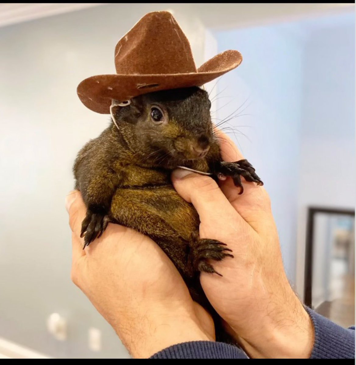 Peanut didn’t die for this.