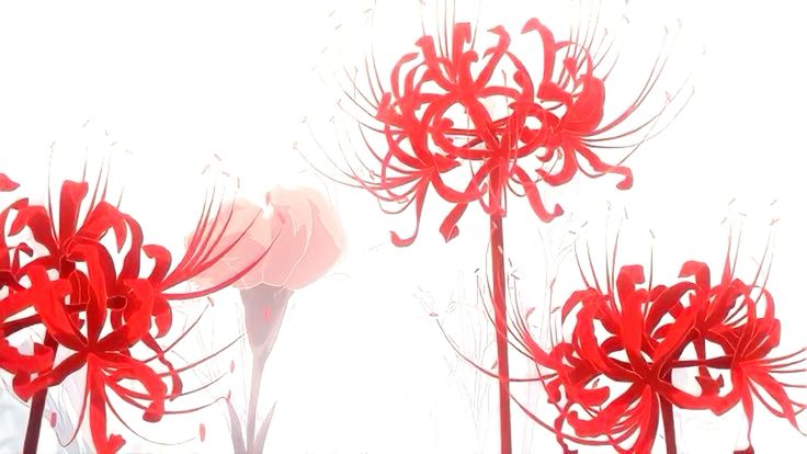 Aster | ALNST tweet media