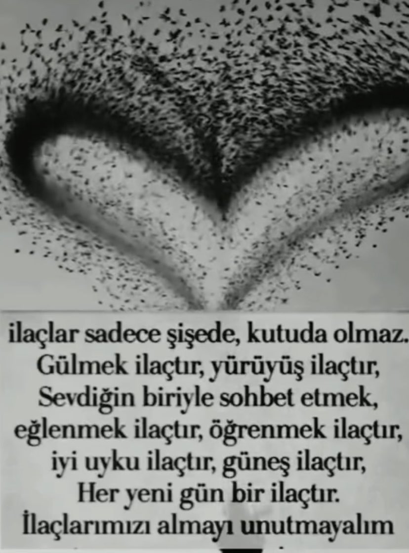 Hümanist_1111💎🕑 (@humanist_1111) on Twitter photo 