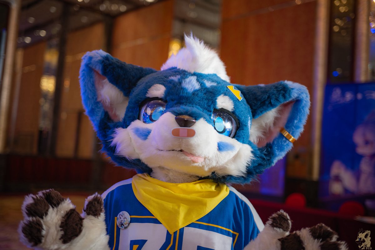xianyunyanba's tweet image. #FursuitFriday

旧毛衣越扯线头越长，像某些没讲完的话，缠住明天的喉咙

📷@团子