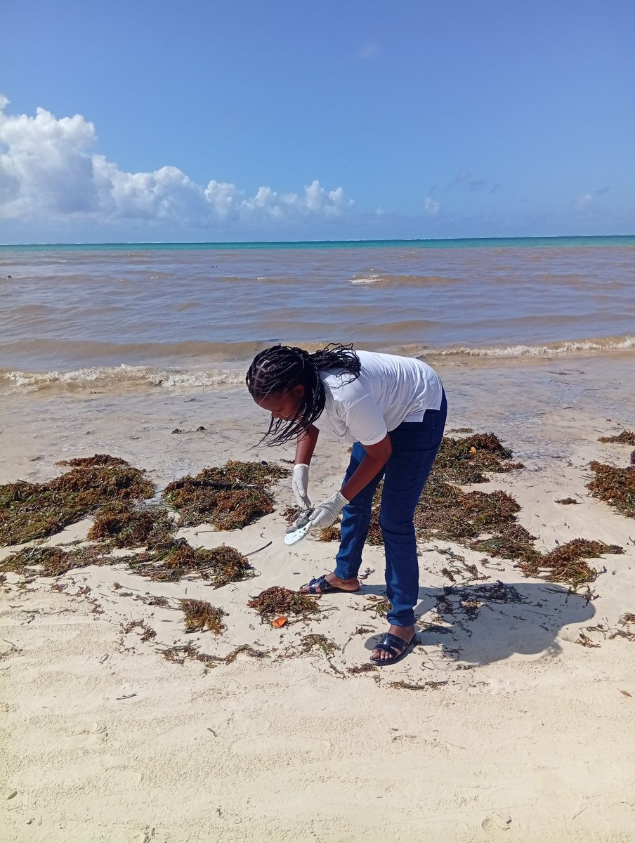 Helpabroda initiative tweet media