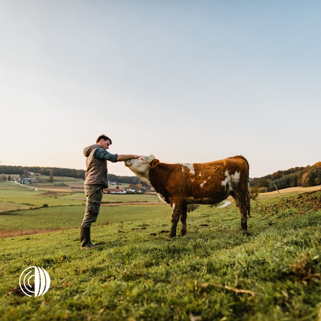 Organización Mundial de Sanidad Animal - Americas tweet media