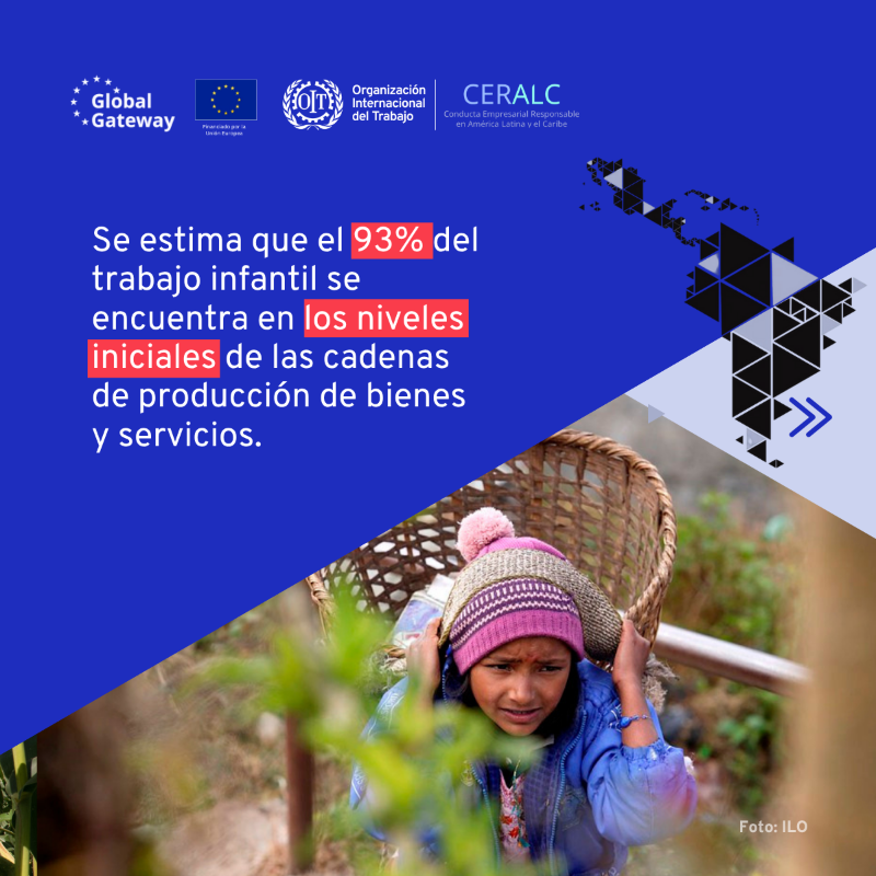 OITAmericas's tweet photo. 🔎 ¿Sabías que el 93% del trabajo infantil se encuentra en los niveles iniciales de las cadenas de suministro?
Para prevenirlo, el proyecto #CERALC impulsa en América Latina y el Caribe:
✅ Políticas públicas eficaces
✅ Debida diligencia empresarial
✅ Mejores datos estadísticos