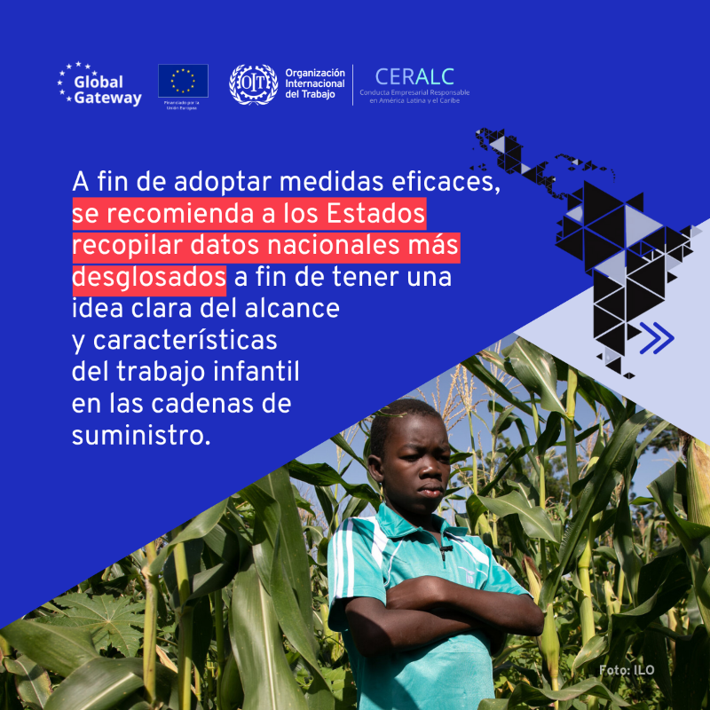 OITAmericas's tweet photo. 🔎 ¿Sabías que el 93% del trabajo infantil se encuentra en los niveles iniciales de las cadenas de suministro?
Para prevenirlo, el proyecto #CERALC impulsa en América Latina y el Caribe:
✅ Políticas públicas eficaces
✅ Debida diligencia empresarial
✅ Mejores datos estadísticos