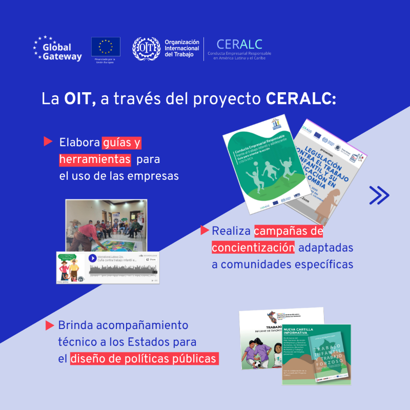 OITAmericas's tweet photo. 🔎 ¿Sabías que el 93% del trabajo infantil se encuentra en los niveles iniciales de las cadenas de suministro?
Para prevenirlo, el proyecto #CERALC impulsa en América Latina y el Caribe:
✅ Políticas públicas eficaces
✅ Debida diligencia empresarial
✅ Mejores datos estadísticos