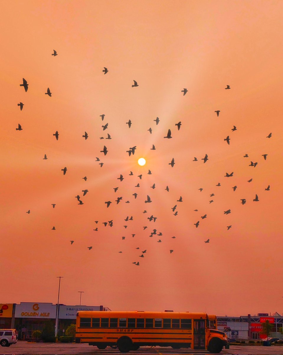 saurabharora's tweet image. 