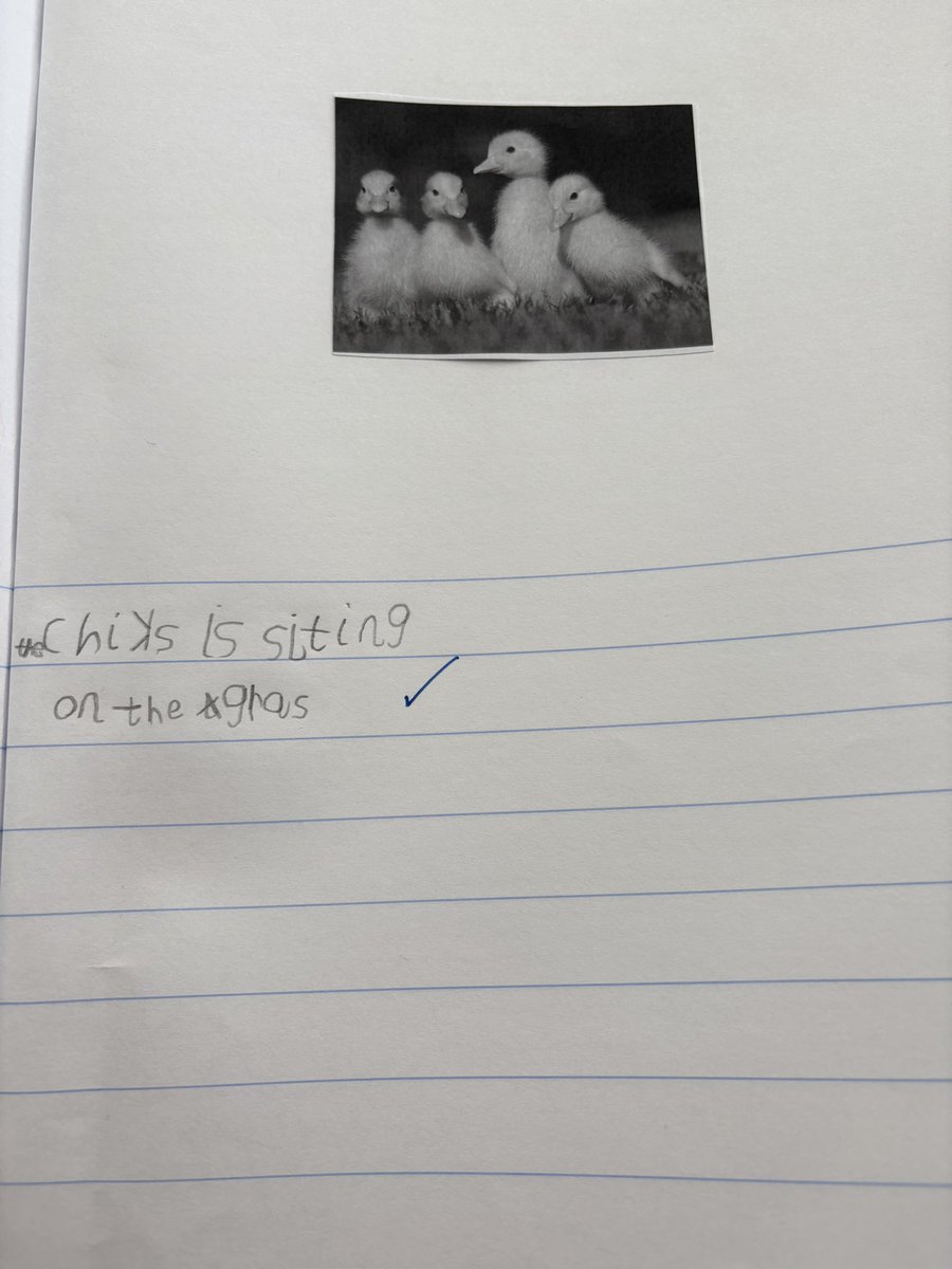 In the mornings the children come in, find their book and write about the funny picture on the board. Today it was some fluffy chicks and look at this fabulous, totally independent writing from our reception children. We’re getting ready for <a href="/GcpYear1/">GCPYear1</a> . <a href="/PrimaryGreat/">Great Coates Primary</a> #gcpwriting