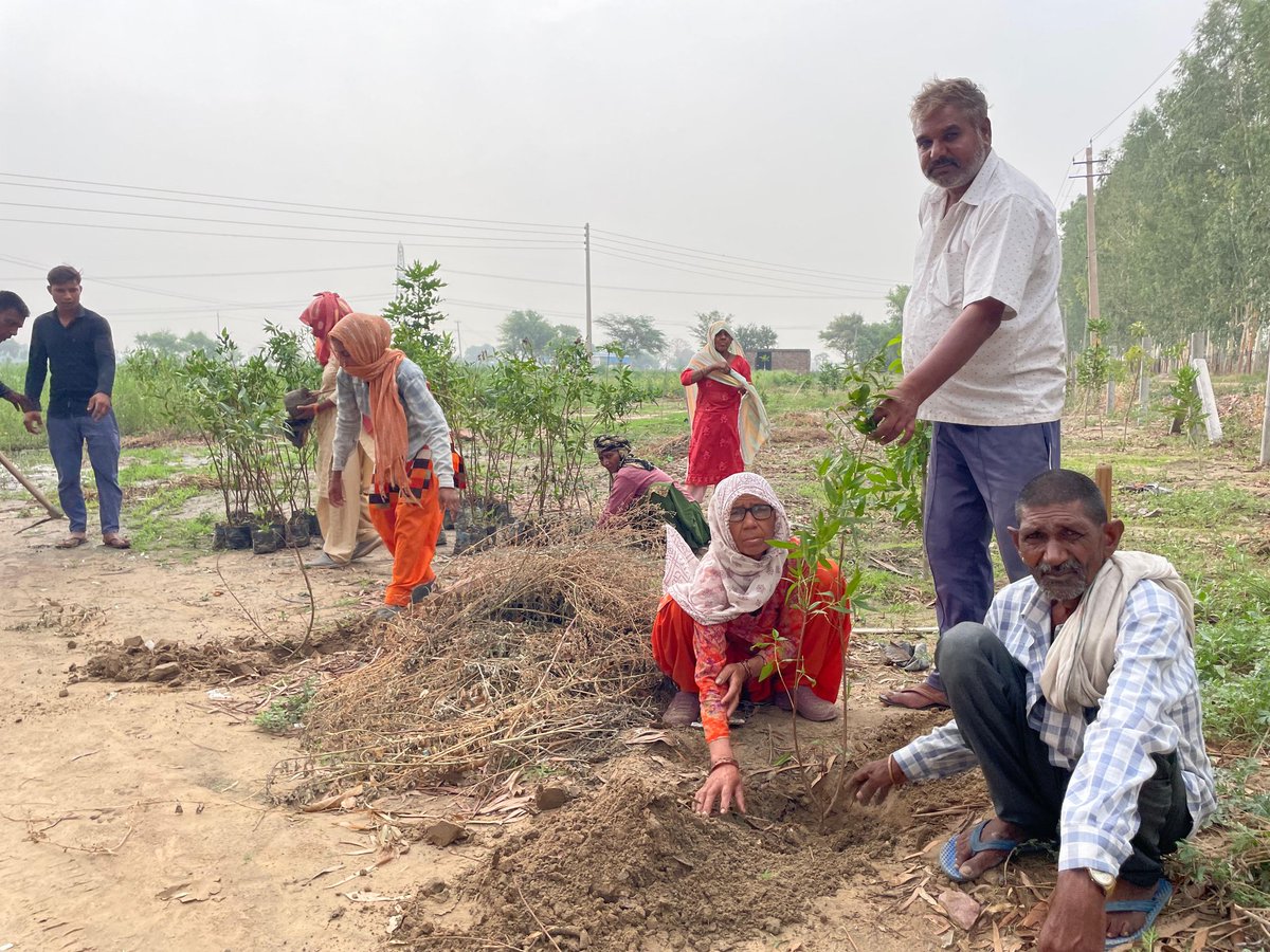 CIIFoundation's tweet image. 🌍 Building Climate Resilient Communities*
Celebrating #WorldEnvironmentDay with real action on the ground!

CII Foundation in partnership with @PTC_Financial, is driving environmental sustainability in Farrukhnagar, Haryana.
#GreenerTomorrow #CommunityForClimate