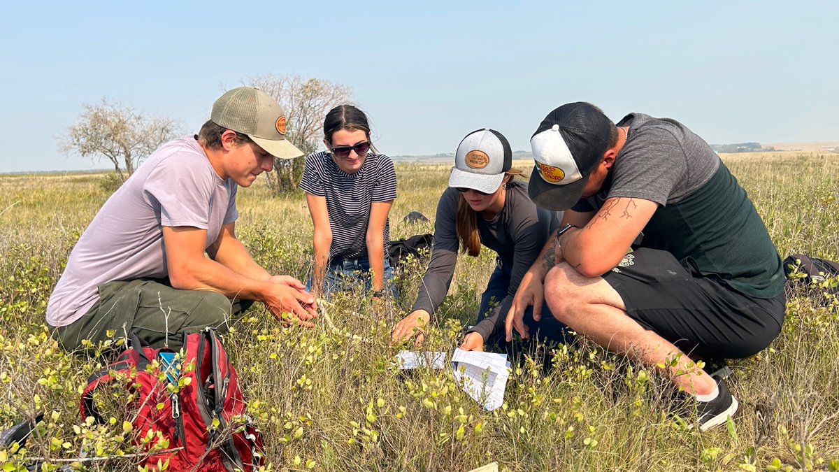 USask AgBio (@agbiousask) on Twitter photo Today is #WorldEnvironmentDay!
At the College of Agriculture and Bioresources, we are committed to responsibly caring for the environment while finding solutions to meet the demands of a hungry and growing world.
Learn more about <a href="/agbiousask/">USask AgBio</a> research: agbio.usask.ca/research Today is #WorldEnvironmentDay!
At the College of Agriculture and Bioresources, we are committed to responsibly caring for the environment while finding solutions to meet the demands of a hungry and growing world.
Learn more about <a href="/agbiousask/">USask AgBio</a> research: agbio.usask.ca/research