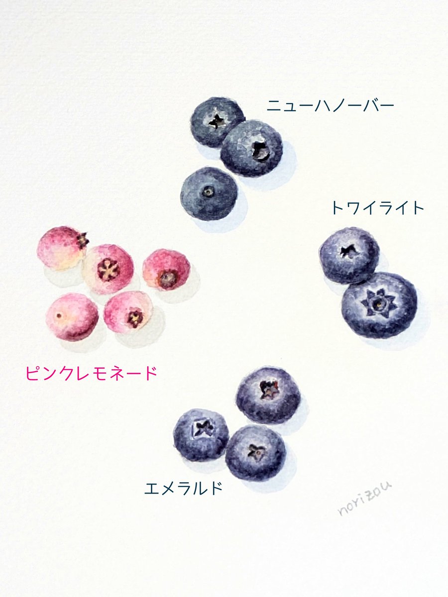 ブルーベリー🫐いろいろ

#透明水彩 #水彩イラスト #イラストレーター #おいしいもの #おやつ #ブルーベリー  #うまくたの里 #須田ブルーベリーファーム