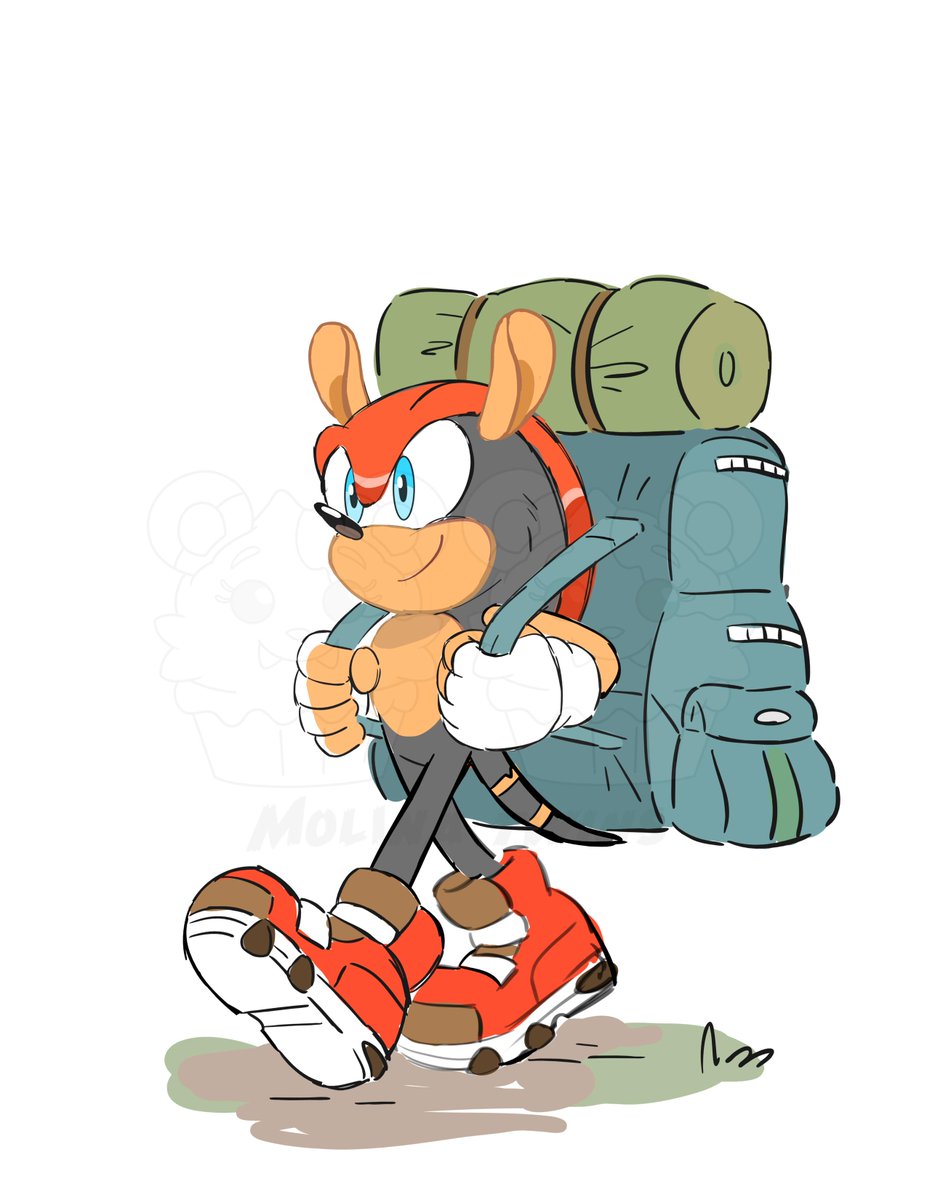 Explorer 

  #art #arte #animation #artists #sonicthehedgehog #sonic