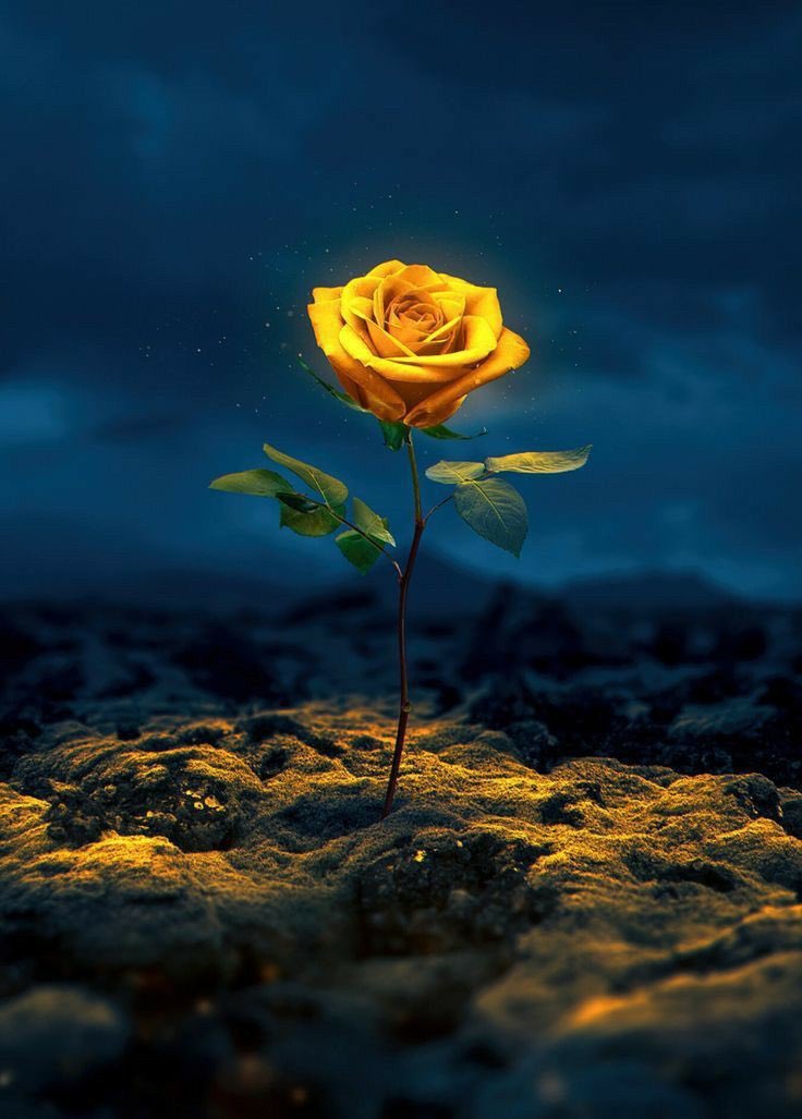 ðâïžððsÊáŽÊᎢáŽáŽ
áŽáŽÉŽÉªÊðâïžðâïž (@shz787) on Twitter photo ðµðŸð»ð»ðŸð
#P_PTi ð
±ïžâ 12
<a href="/MNPTi1/">ð.ðððâââðð²ð«ð°ðŠð£ðïžââ Ø§ØšÙسÙÙ
ââð¶</a>
<a href="/As_t40/">ð ðððððð«</a>
<a href="/NM2k__/">ıllıllı ðž NÍEÍEÍNÍAÍHÍ ðž ıllıllı</a>
<a href="/Pk6_1/">P khan</a>
<a href="/IAIJ_/">Genghis Khan</a>
<a href="/br6n_/">ð¥ð¥àž¿ââÐÃá§Ðð¥ð¥</a>
<a href="/553ik/">ðº*ðð à³â¢ðà³ððð.⢠'*ðº.à³</a>
<a href="/skiii7i/">S khan</a>
<a href="/8gm_9/">Kërim YaÅŸarÄnãœïž</a>
<a href="/TipuS1_/">Tipu Sultan ᎟áµáµáŽŸáµÊ·áµÊ³</a>
<a href="/Jess_e1_/">JESSEâšïž</a>
<a href="/Lu_v_u2/">ðº PARIS ðº</a>
<a href="/ver_G10/">usMan Gâïž</a>
<a href="/shZ447/">ððððð«ðð ððŠððð£</a>
<a href="/__Alan2/">ALAN ð</a>
<a href="/pti__dimo/">black diamond ð</a>
<a href="/Sc2017W/">SC2017</a>
<a href="/zubm9231/">ZUBAIR Muhammad</a>
<a href="/zubairk00/">zubair Khan</a>
<a href="/b7973600/">Irfan Zdeb ð</a>
<a href="/Noshii_786/">ê§ððžðŒð±ð®ð®ð·ê§áµáµáµáµË¢áµáµ</a>
<a href="/Baaghi_786/">ðð«ð¬ ðð®ð«ðð§ð ð³ðð¢ð</a>
<a href="/Iamkhanks/">خا٠کا سٟاÛÛ</a>
<a href="/Teller_23360/">ÚÚŸÙٹا کٟتا٠ðŽïž</a>
<a href="/AZEEMVIRK30/">AZEEM VIRK</a>
<a href="/NM3k_/">ââ
ð ð©ðžðžð©ðð» ð â
â</a> <a href="/Y22NY/">YASEEN</a> ðµðŸð»ð»ðŸð
#P_PTi ð
±ïžâ 12
<a href="/MNPTi1/">ð.ðððâââðð²ð«ð°ðŠð£ðïžââ Ø§ØšÙسÙÙ
ââð¶</a>
<a href="/As_t40/">ð ðððððð«</a>
<a href="/NM2k__/">ıllıllı ðž NÍEÍEÍNÍAÍHÍ ðž ıllıllı</a>
<a href="/Pk6_1/">P khan</a>
<a href="/IAIJ_/">Genghis Khan</a>
<a href="/br6n_/">ð¥ð¥àž¿ââÐÃá§Ðð¥ð¥</a>
<a href="/553ik/">ðº*ðð à³â¢ðà³ððð.⢠'*ðº.à³</a>
<a href="/skiii7i/">S khan</a>
<a href="/8gm_9/">Kërim YaÅŸarÄnãœïž</a>
<a href="/TipuS1_/">Tipu Sultan ᎟áµáµáŽŸáµÊ·áµÊ³</a>
<a href="/Jess_e1_/">JESSEâšïž</a>
<a href="/Lu_v_u2/">ðº PARIS ðº</a>
<a href="/ver_G10/">usMan Gâïž</a>
<a href="/shZ447/">ððððð«ðð ððŠððð£</a>
<a href="/__Alan2/">ALAN ð</a>
<a href="/pti__dimo/">black diamond ð</a>
<a href="/Sc2017W/">SC2017</a>
<a href="/zubm9231/">ZUBAIR Muhammad</a>
<a href="/zubairk00/">zubair Khan</a>
<a href="/b7973600/">Irfan Zdeb ð</a>
<a href="/Noshii_786/">ê§ððžðŒð±ð®ð®ð·ê§áµáµáµáµË¢áµáµ</a>
<a href="/Baaghi_786/">ðð«ð¬ ðð®ð«ðð§ð ð³ðð¢ð</a>
<a href="/Iamkhanks/">خا٠کا سٟاÛÛ</a>
<a href="/Teller_23360/">ÚÚŸÙٹا کٟتا٠ðŽïž</a>
<a href="/AZEEMVIRK30/">AZEEM VIRK</a>
<a href="/NM3k_/">ââ
ð ð©ðžðžð©ðð» ð â
â</a> <a href="/Y22NY/">YASEEN</a>