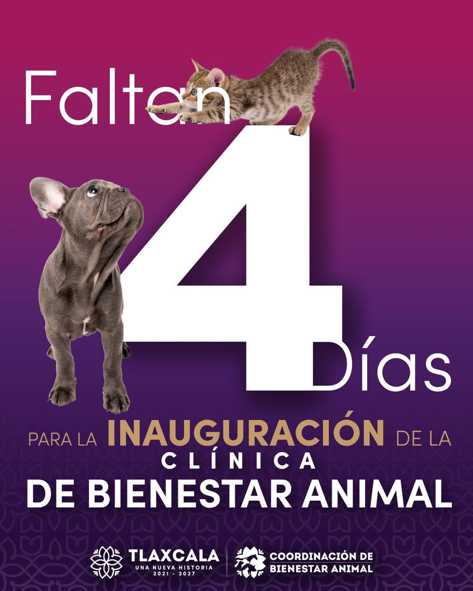 UTTlaxcala tweet media