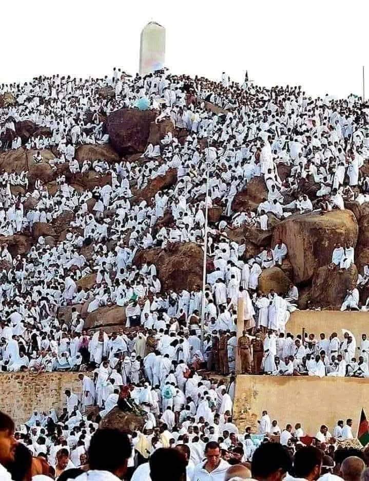 Mian Saib (@mian23283) on Twitter photo 