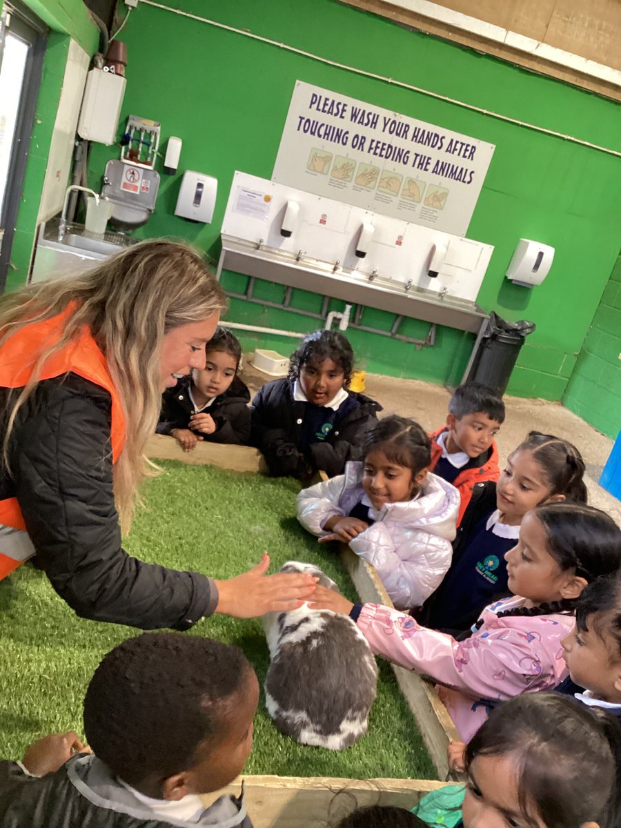 AbbeyMead_TMET's tweet image. FOL/SS had the BEST day ever at Windmill Farm Park, the rain did not stop our fun! 🚜 🐑 #EYFS #UTW #enrichment