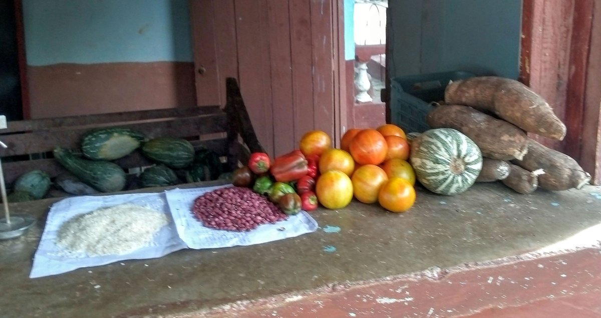 #Mella,#SantiagoDeCuba. La circunscripción #2 perteneciente a la demarcación territorial Oscar Lucero, se convierte en el espacio que ofrece las alternativas al mellense porque el Mercado Agropecuario enmarcado allí, se encarga de brindarle esas ofertas. #GenteQueCuidaALaGente.