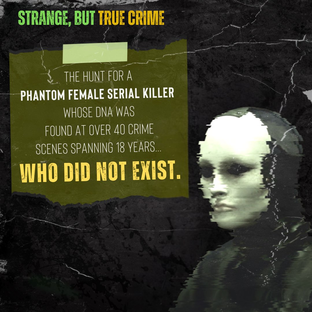 📢 CALLING ALL #TRUECRIME FANS!

Strange But True Crime stories are heading your way soon!
 
🗓️ Wed 5 Nov 2025, 7:30pm | From £26.50

Take a fascinating deep-dive into the wildest, but true, crime cases with ex-forensics lecturer Jennifer Rees

🎟️ Book at tinyurl.com/43ef4aj8