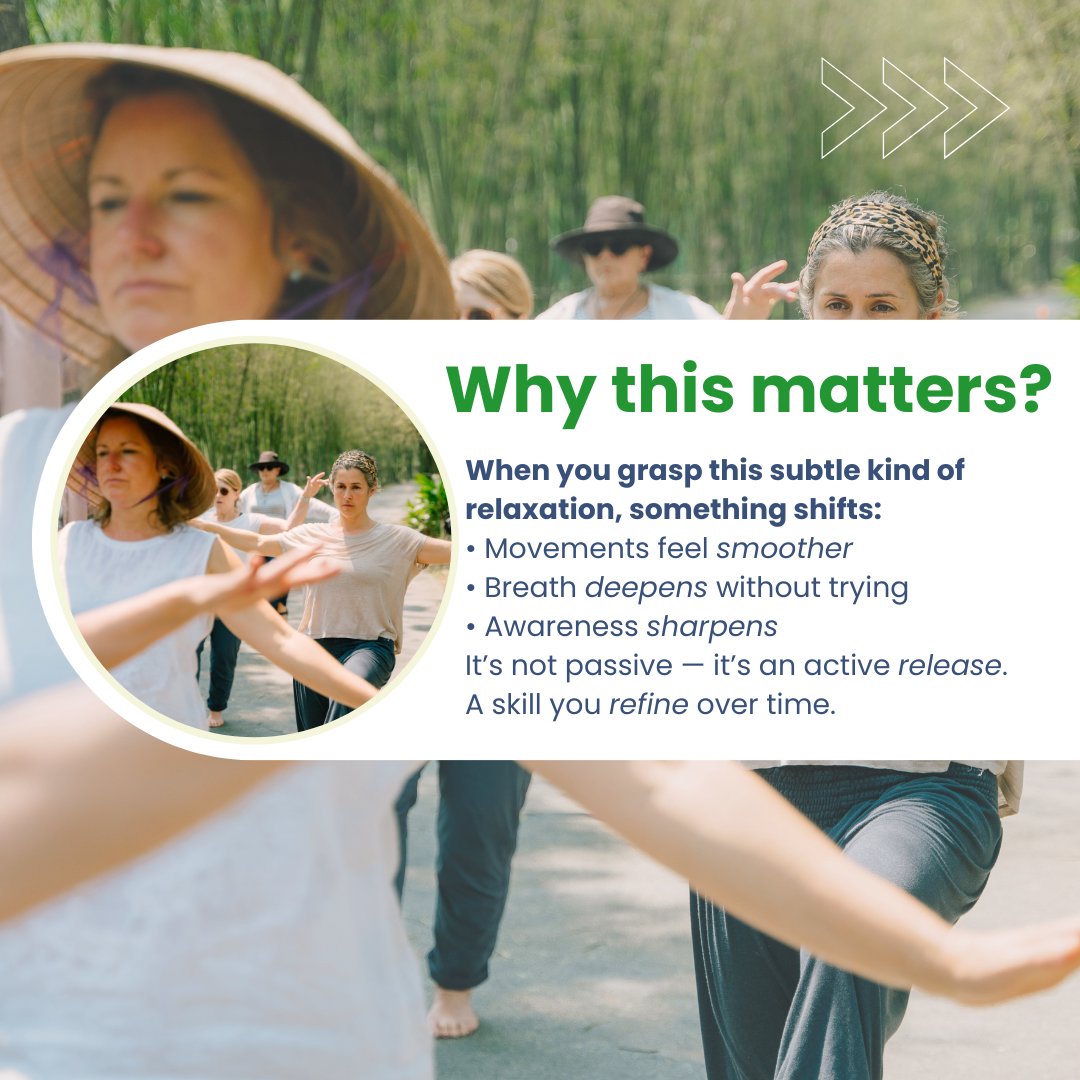 Relaxation isn’t laziness — it’s the reset your nervous system needs to thrive. It lowers stress, clears mental fog, and restores energy. Want to dive deeper? Our Bali Teacher Training helps you unlock this essential balance. Spaces limited. Learn more: whitetigerqigong.com/products/5-ele…