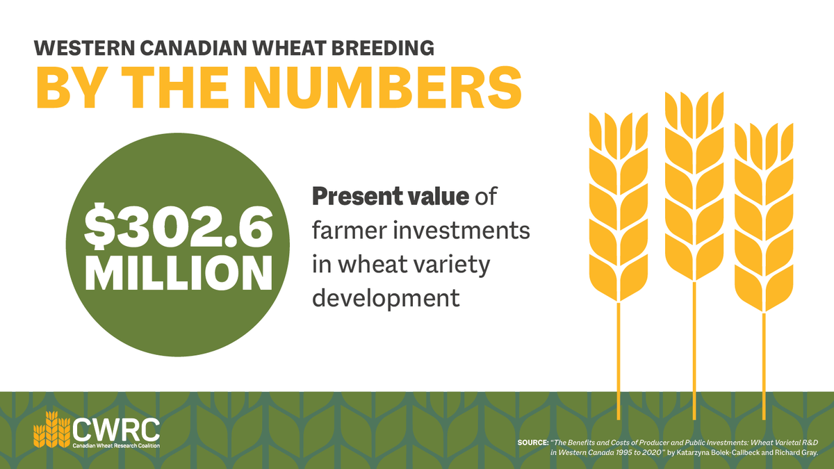 Improvements in spring wheat varieties from 1971-2022 have translated into roughly $1.5 billion in net benefits for Canadian farmers, a tremendous return on investment.

Learn more: ow.ly/rixF50VBSyA

#cdnwheat #cdnag #wheatresearch