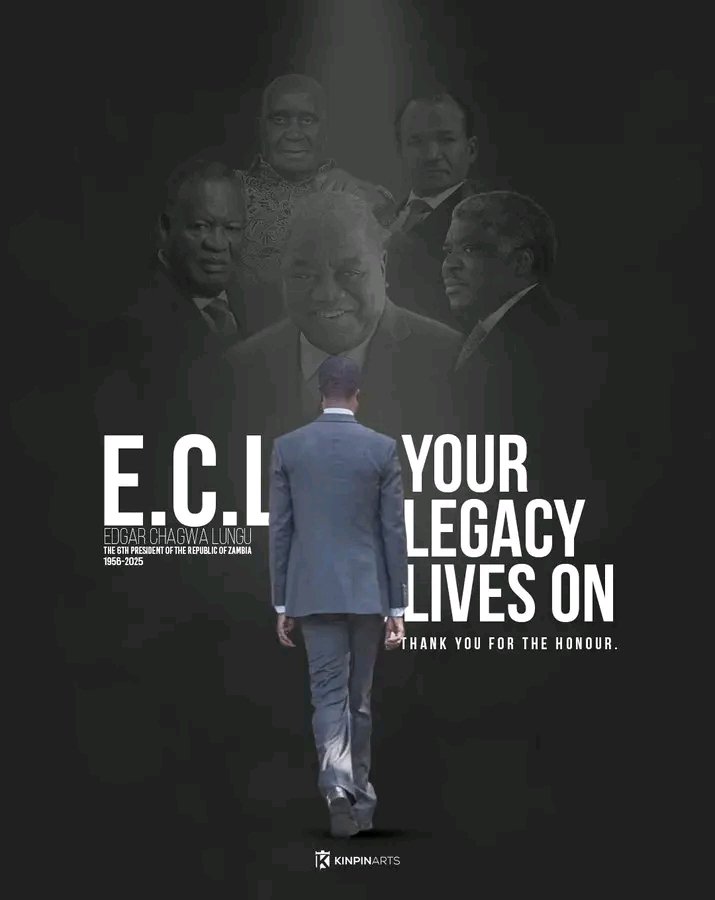 🕊️🕊️🕊️