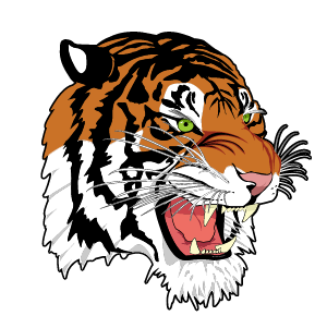 Lyndonville has 3 Scholar-Athlete teams orleanshub.com/lyndonville-ha…