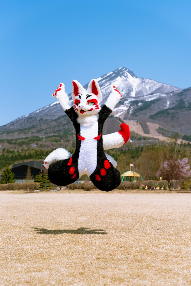 Jump!!
 #FursuitFriday