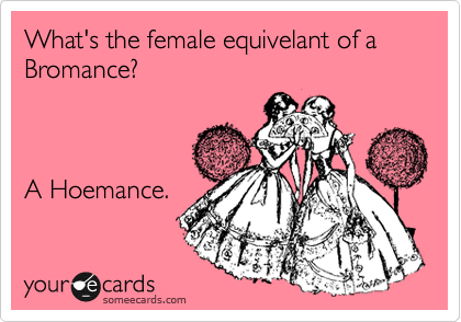 generator71773's tweet photo. What's the female equivalent of a Bromance? A Hoemance. #Funny #Meme https://t.co/MNSM7DDIrQ