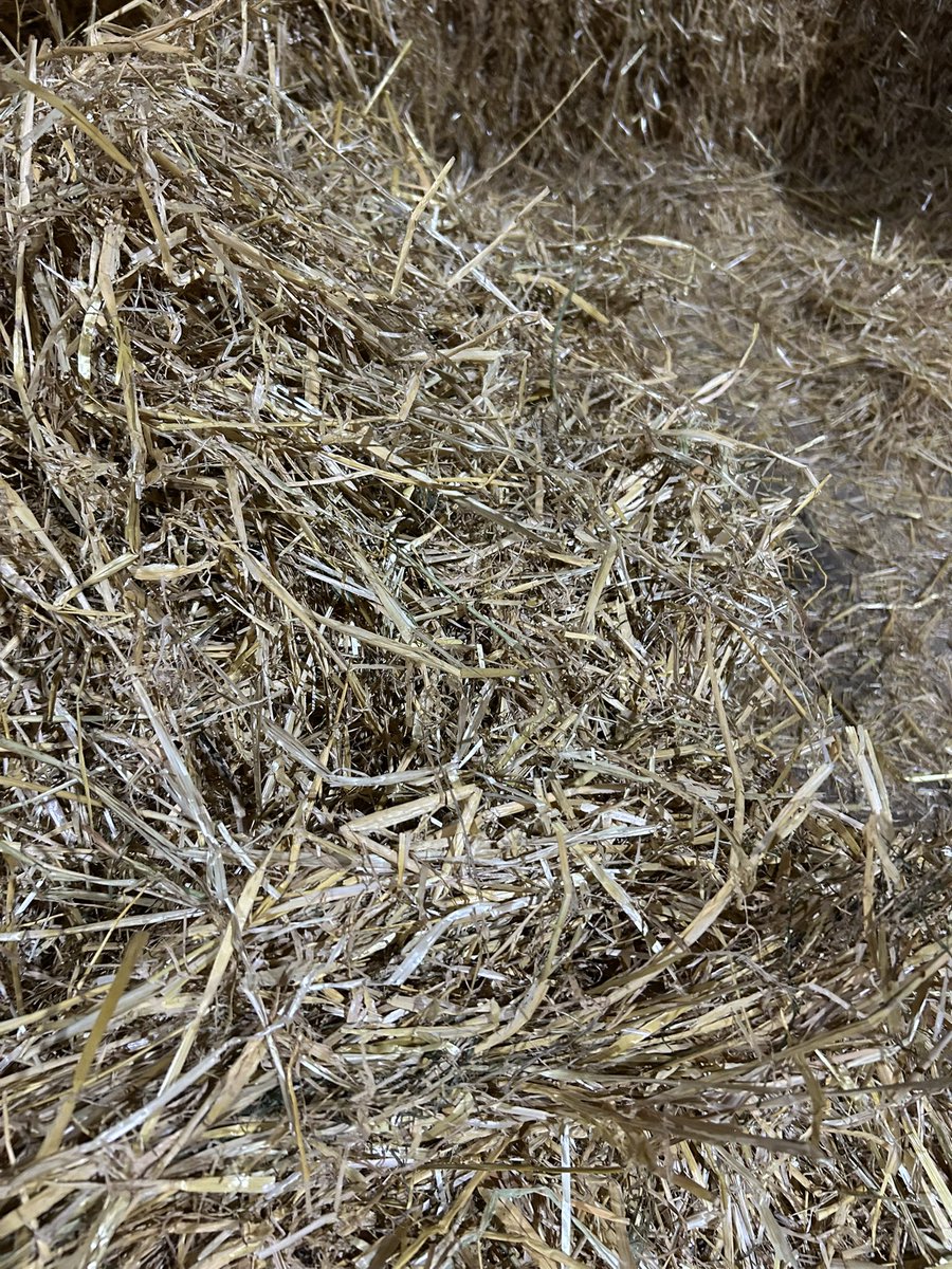 2024 Barley straw available. 150 bales 3x3x7. Stored inside, never saw rain. Located near Lakeside. $50/bale.