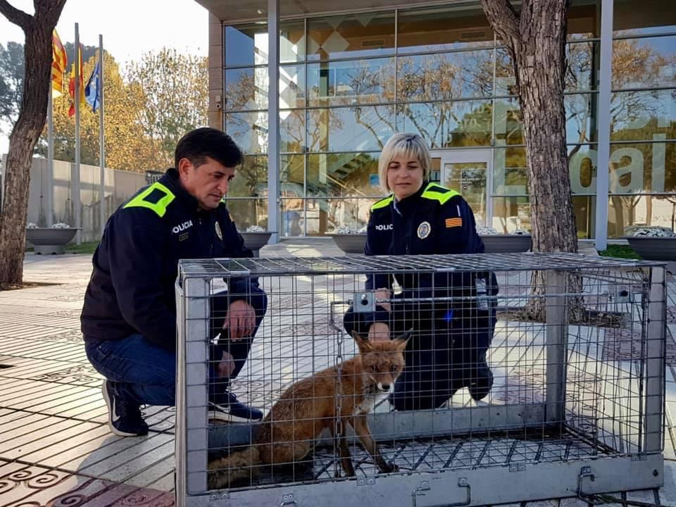 Platja d'Aro Policia (@platjaropolicia) on Twitter photo Avui, Dia Mundial del Medi Ambient, ens comprometem a seguir treballant per a evitar comportaments que posin en risc la nostra fauna i flora.
Us recordem que la Unitat de Medi Ambient i Vigilància Marítima de la <a href="/platjaropolicia/">Platja d'Aro Policia</a> està a la vostra disposició.
#apropteu Avui, Dia Mundial del Medi Ambient, ens comprometem a seguir treballant per a evitar comportaments que posin en risc la nostra fauna i flora.
Us recordem que la Unitat de Medi Ambient i Vigilància Marítima de la <a href="/platjaropolicia/">Platja d'Aro Policia</a> està a la vostra disposició.
#apropteu