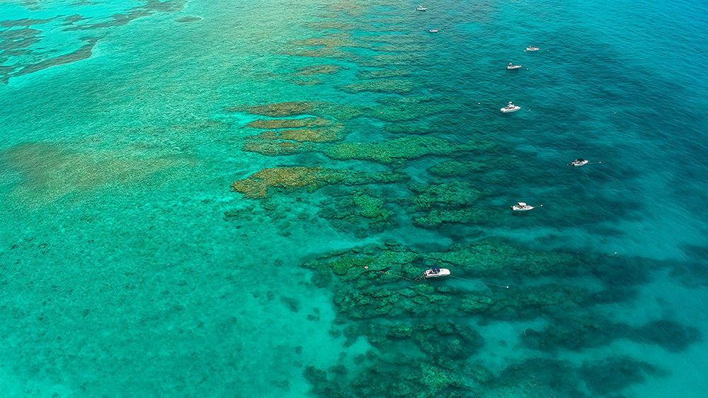 NOAA_AOML's tweet image. A new study by scientists at AOML shows how we can use existing monitoring data collected over decades to investigate complex changes in seawater chemistry in the Florida Keys.
Click the link: aoml.noaa.gov/a-new-model-pr…