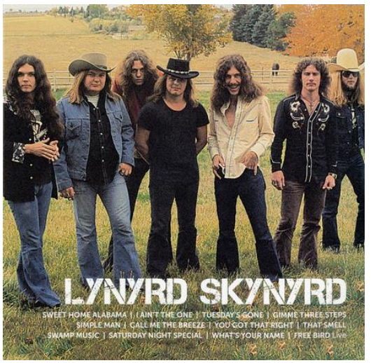 Guitarbizon tweet media