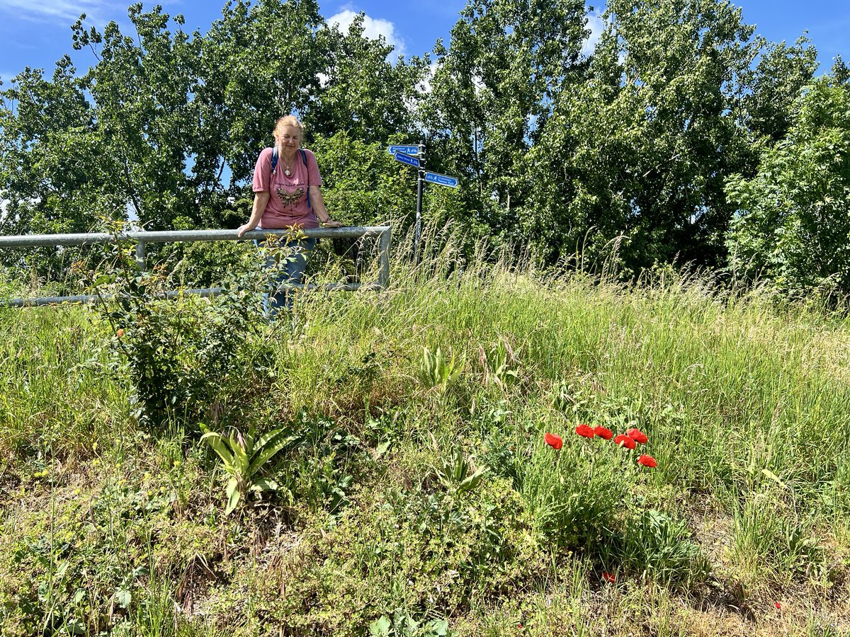 BuzzingSouthEast tweet media