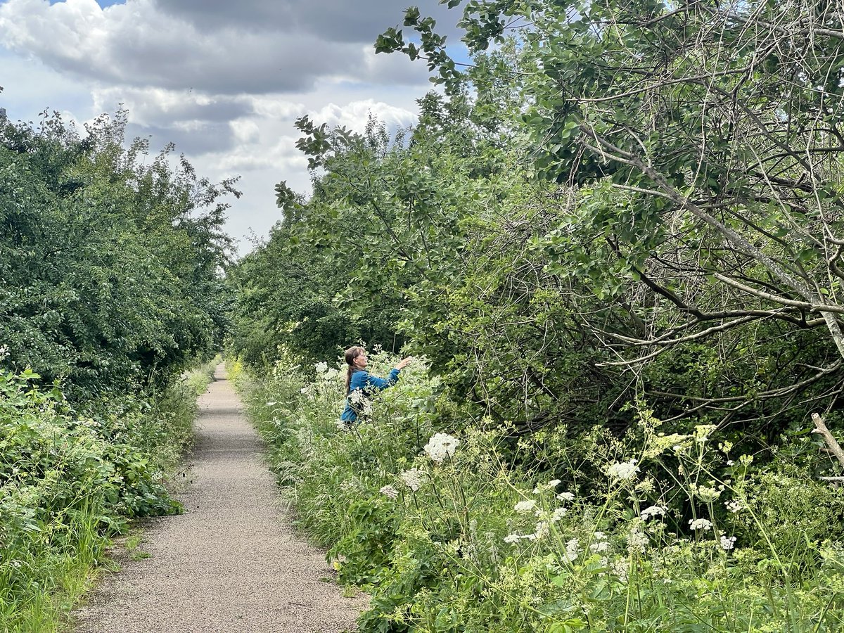 BuzzingSouthEast tweet media